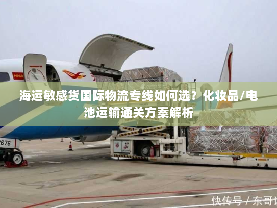海运敏感货国际物流专线如何选？化妆品/电池运输通关方案解析