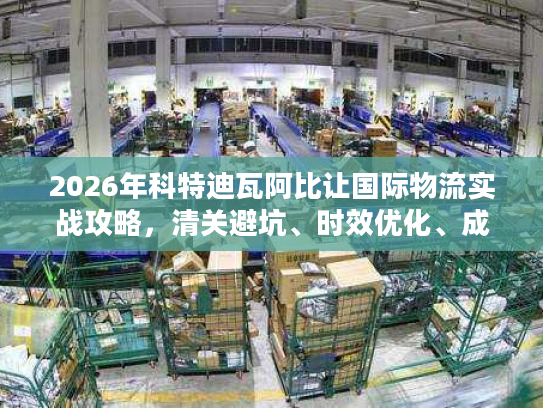 2026年科特迪瓦阿比让国际物流实战攻略，清关避坑、时效优化、成本控制全解析