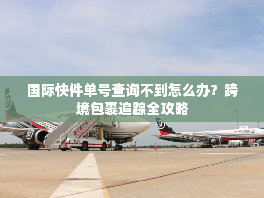 国际快件单号查询不到怎么办？跨境包裹追踪全攻略