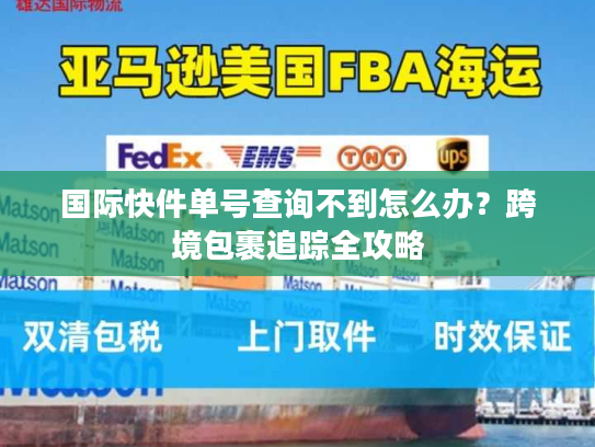 国际快件单号查询不到怎么办？跨境包裹追踪全攻略