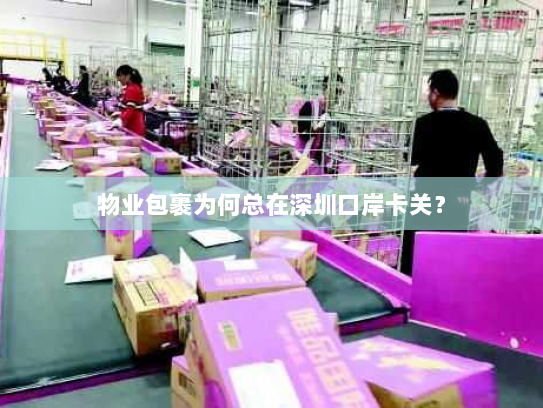 物业包裹为何总在深圳口岸卡关？