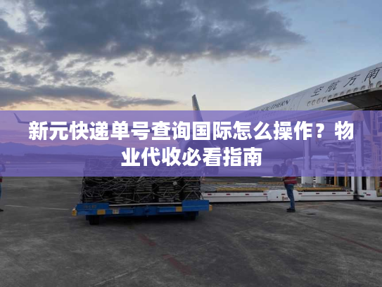 新元快递单号查询国际怎么操作？物业代收必看指南