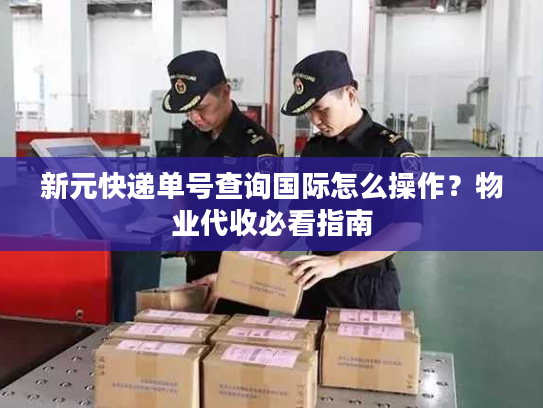 新元快递单号查询国际怎么操作？物业代收必看指南