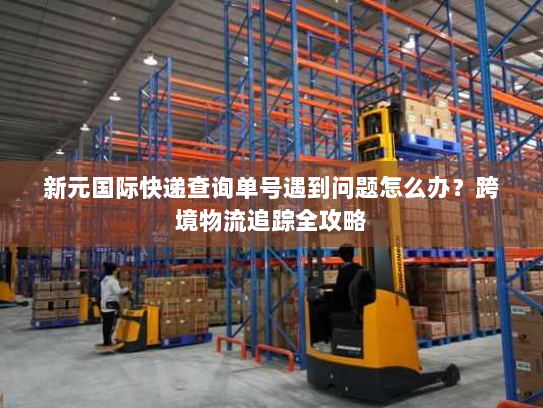新元国际快递查询单号遇到问题怎么办?跨境物流追踪全攻略 新元国际快递查询单号遇到问题怎么办?跨境物流追踪全攻略