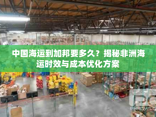 中国海运到加邦要多久？揭秘非洲海运时效与成本优化方案