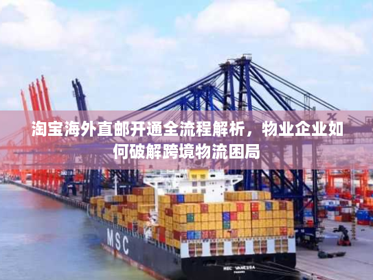 淘宝海外直邮开通全流程解析，物业企业如何破解跨境物流困局