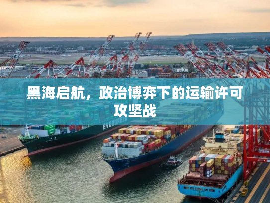 黑海启航，政治博弈下的运输许可攻坚战