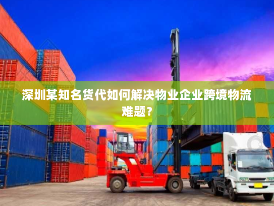 深圳某知名货代如何解决物业企业跨境物流难题？