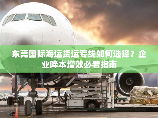 东莞国际海运货运专线如何选择？企业降本增效必看指南