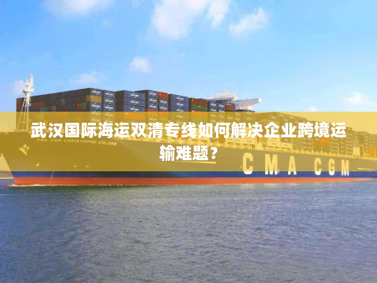 武汉国际海运双清专线如何解决企业跨境运输难题？