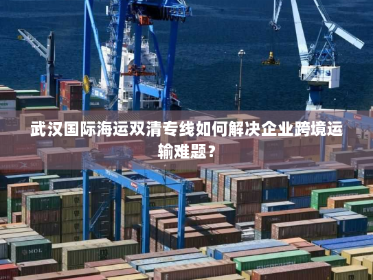 武汉国际海运双清专线如何解决企业跨境运输难题？