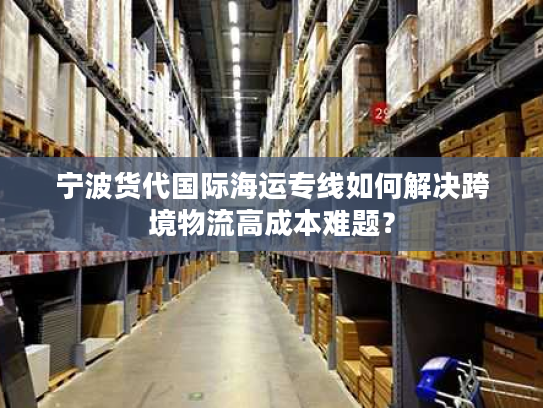 宁波货代国际海运专线如何解决跨境物流高成本难题？