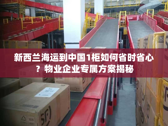 新西兰海运到中国1柜如何省时省心？物业企业专属方案揭秘
