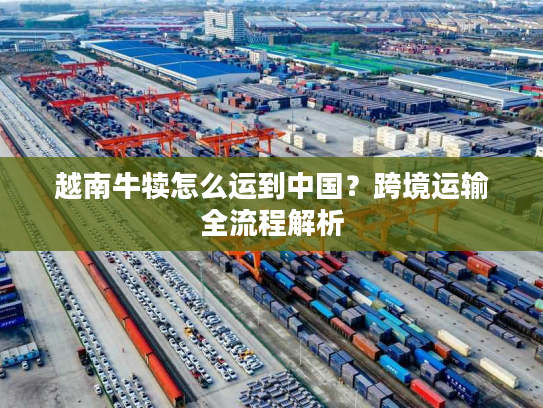 越南牛犊怎么运到中国？跨境运输全流程解析