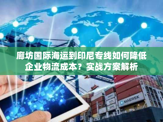 廊坊国际海运到印尼专线如何降低企业物流成本？实战方案解析