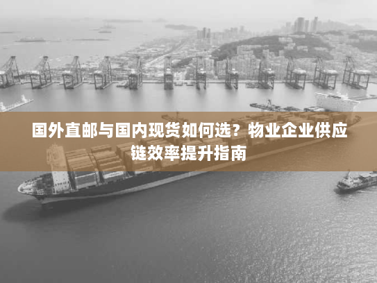 国外直邮与国内现货如何选？物业企业供应链效率提升指南