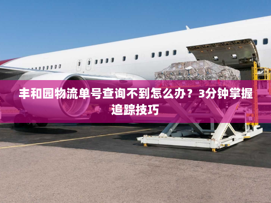 丰和园物流单号查询不到怎么办？3分钟掌握追踪技巧