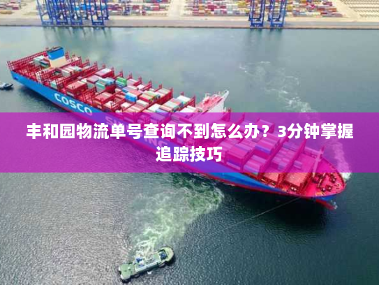 丰和园物流单号查询不到怎么办？3分钟掌握追踪技巧