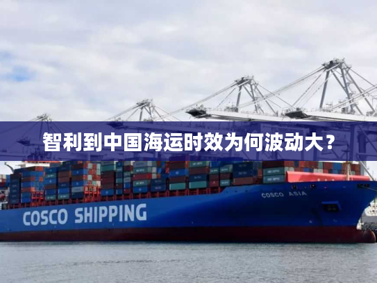 智利到中国海运时效为何波动大？