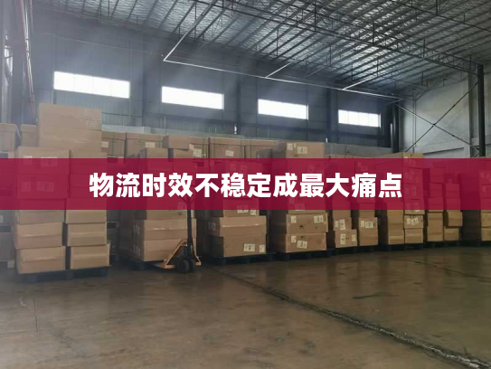 物流时效不稳定成最大痛点