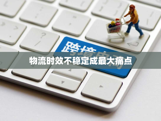 物流时效不稳定成最大痛点