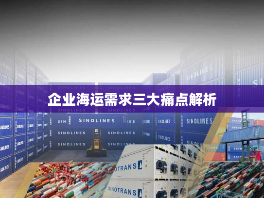 企业海运需求三大痛点解析