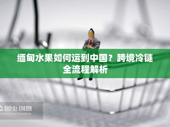 缅甸水果如何运到中国？跨境冷链全流程解析