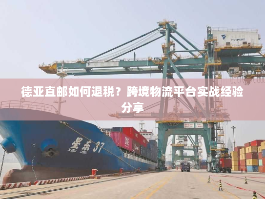 德亚直邮如何退税？跨境物流平台实战经验分享