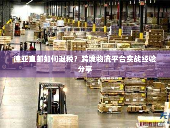 德亚直邮如何退税？跨境物流平台实战经验分享