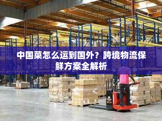 中国菜怎么运到国外?跨境物流保鲜方案全解析 中国菜怎么运到国外?跨境物流保鲜方案全解析