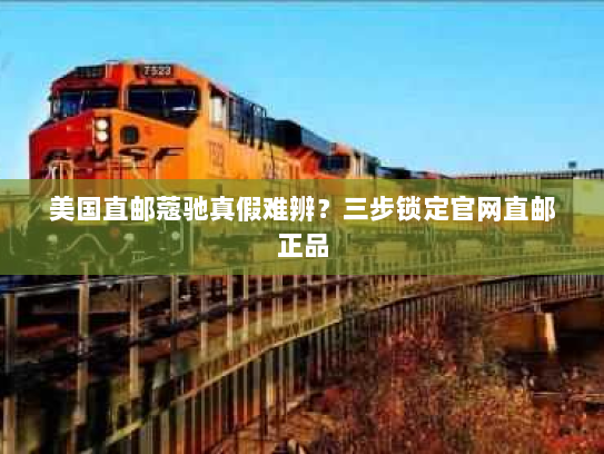 美国直邮蔻驰真假难辨？三步锁定官网直邮正品