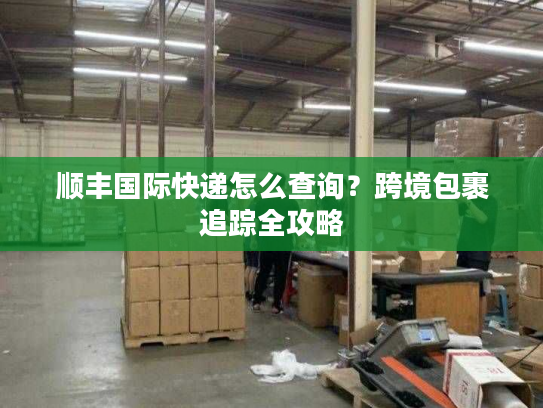 顺丰国际快递怎么查询？跨境包裹追踪全攻略