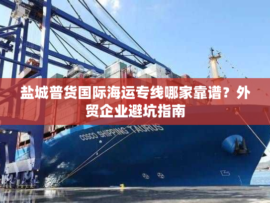 盐城普货国际海运专线哪家靠谱？外贸企业避坑指南