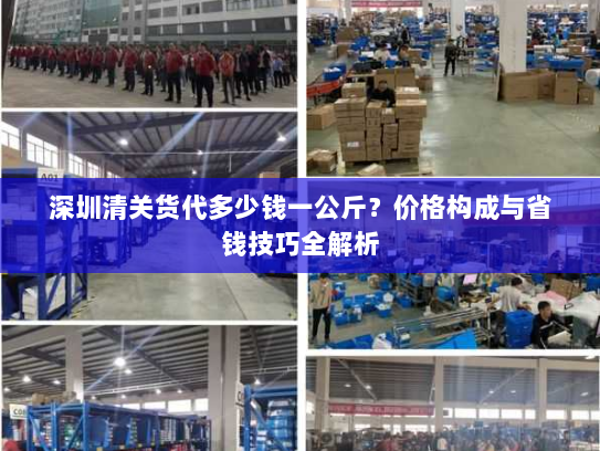 深圳清关货代多少钱一公斤？价格构成与省钱技巧全解析