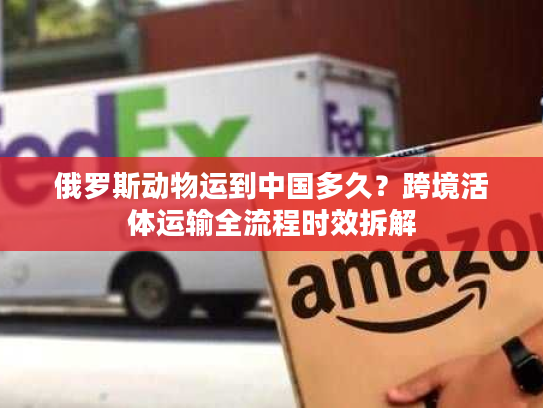 俄罗斯动物运到中国多久？跨境活体运输全流程时效拆解