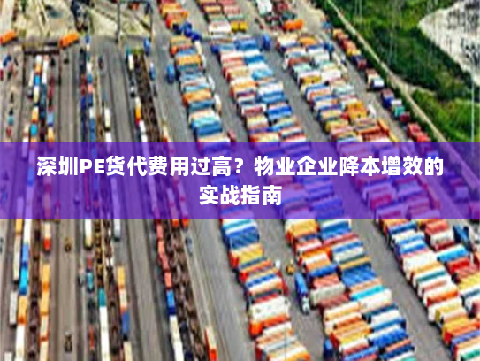 深圳PE货代费用过高？物业企业降本增效的实战指南