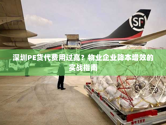 深圳PE货代费用过高？物业企业降本增效的实战指南