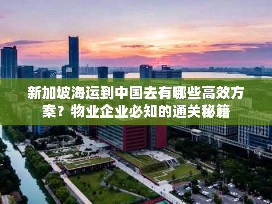 新加坡海运到中国去有哪些高效方案？物业企业必知的通关秘籍