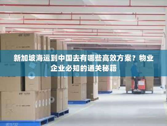 新加坡海运到中国去有哪些高效方案？物业企业必知的通关秘籍