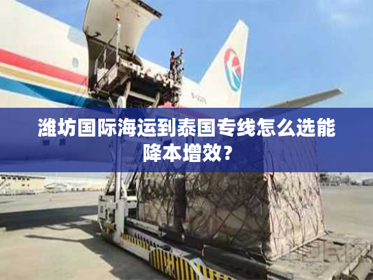 潍坊国际海运到泰国专线怎么选能降本增效？