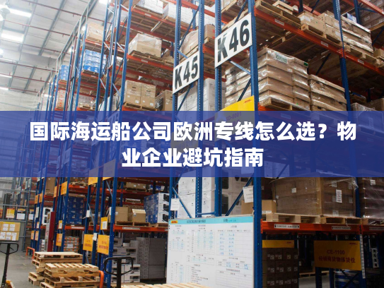 国际海运船公司欧洲专线怎么选？物业企业避坑指南