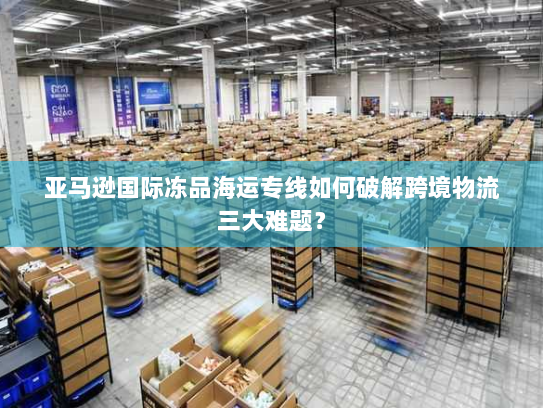 亚马逊国际冻品海运专线如何破解跨境物流三大难题？