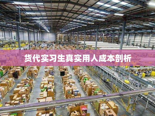 货代实习生真实用人成本剖析