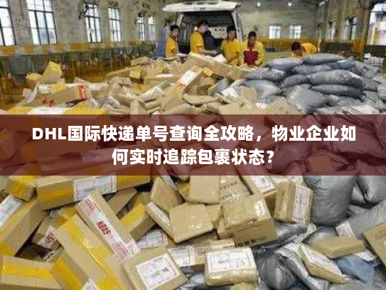 DHL国际快递单号查询全攻略，物业企业如何实时追踪包裹状态？