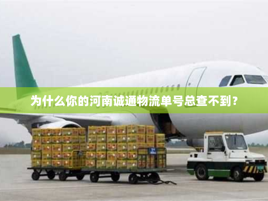 为什么你的河南诚通物流单号总查不到？