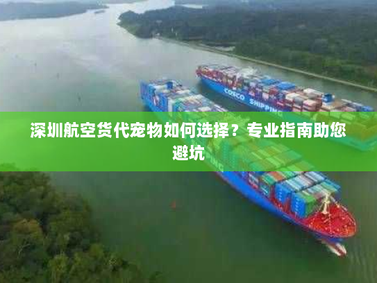 深圳航空货代宠物如何选择？专业指南助您避坑