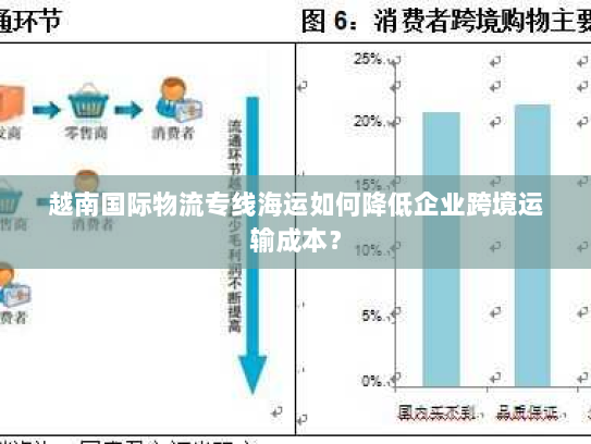 越南国际物流专线海运如何降低企业跨境运输成本? 越南国际物流专线海运如何降低企业跨境运输成本?