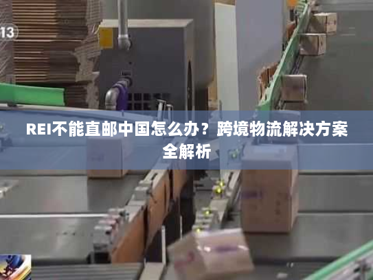 REI不能直邮中国怎么办？跨境物流解决方案全解析