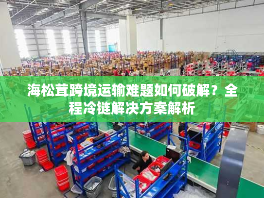 海松茸跨境运输难题如何破解？全程冷链解决方案解析