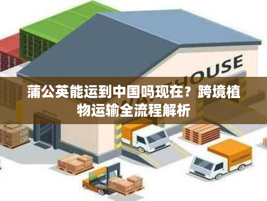 蒲公英能运到中国吗现在？跨境植物运输全流程解析
